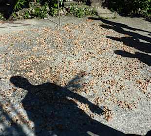 Berg und Tal Tour – Oktober 2014