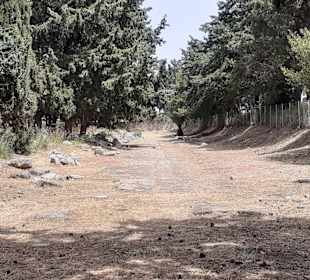 Westliches Ausgrabungsgelände