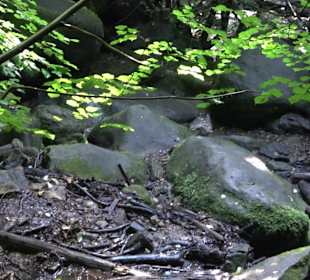 Wanderung Heslacher Wasserfälle und Heidenbrünnele