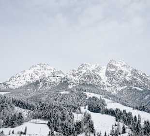 Ausblick