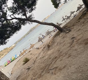 Strand Paguera/Peguera