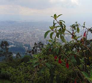 Cerro Monserrate, der "Hausberg" Bogotás. 