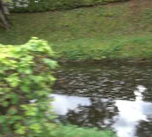 Obere Stadtmauer