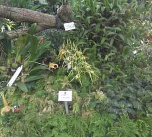Botanischer Garten