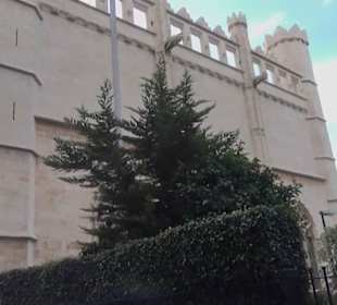 Llotja de Palma