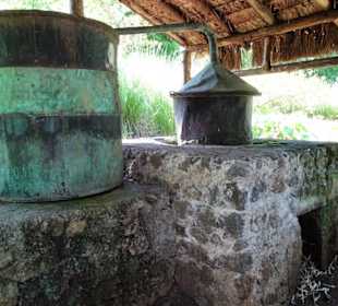 Destilliergerät im Botanischen Garten Mascarin