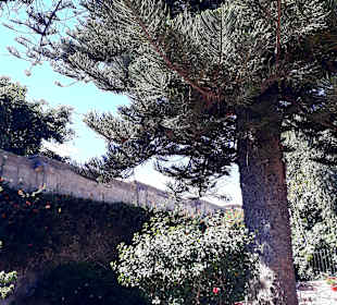 Santa Catalina Kloster