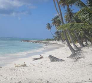 Traumstrand auf Saona