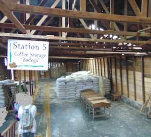 Doka Estate Kaffeeplantage