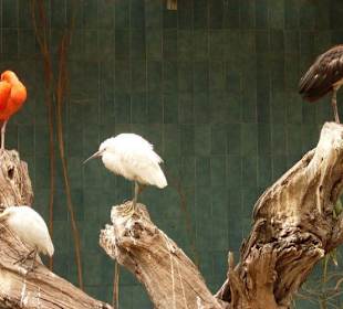 Zoo