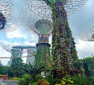Gardens by the Bay