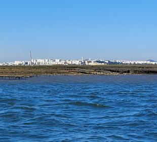 Bootstour Ria Formosa