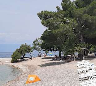 Strand Njivice