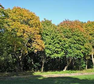 Eindrücke aus dem Gesundheitspark Speckenbüttel