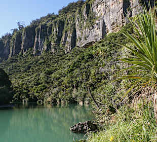 Pororari River Track. 