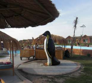 Dusche im Jungle Aqua-Park