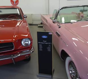 Autosammlung Steim