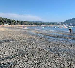 Playa Magdalena