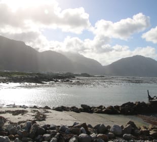 ...das schöne Wetter nutzen...