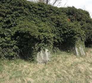 Friedhof Buttenhausen