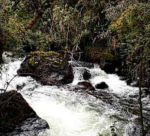Rundweg „La Isla“ Path
