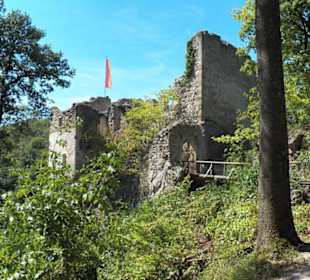 Naturpark Sparbach Hinterbrühl