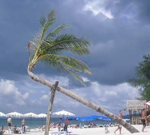 Restaurant White Sand Beach!