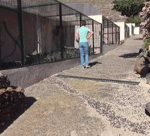 Guinitate Tropical Park