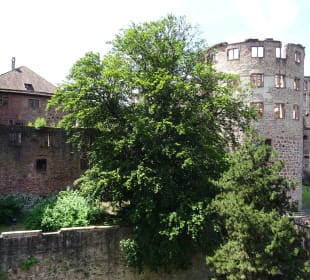 Schlossgarten Heidelberg