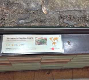Regenwaldhaus