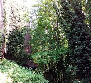 Wanderweg Sandsteinweg La Petite Pierre