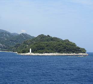 Mljet