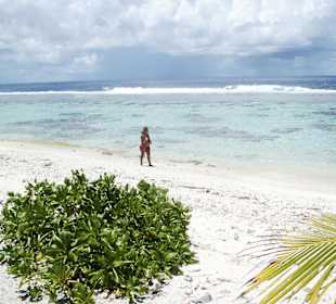 Wunderschöner Tag auf einem Motu