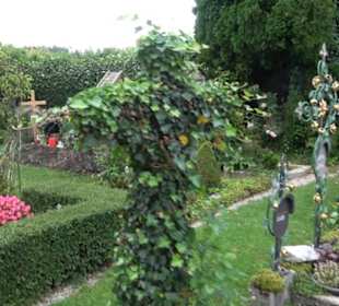 Friedhof Ilkahöhe