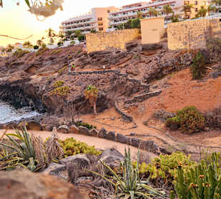 Wandern Teneriffa Kreaktiv Costa Adeje