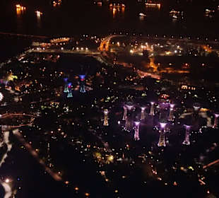 Blick auf den Garden by the Bay bei Dunkelheit