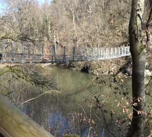 Hängebrücke im Fürstlichen Park