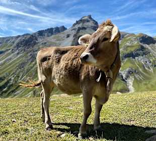 Wandern Malles Venosta / Mals