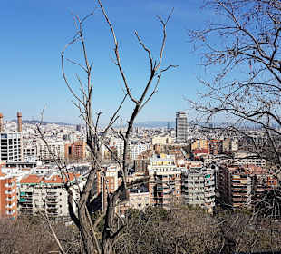 Park Montjuic