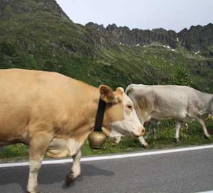 Silvretta Hochalpenstrasse