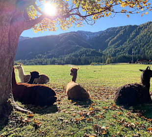 Wandern St. Jakob im Defereggental