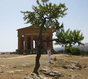 Valle dei Templi - Natur & Tempel