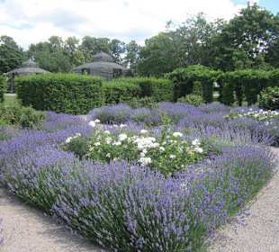 Schlossgarten Rastatt
