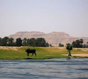 Oototo Holiday Service - Luxor / Nilfahrt