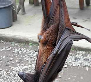 ...keine Angst vor mir