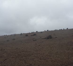 Kilimandżaro