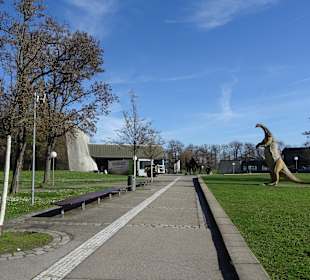 Museum am Löwentor