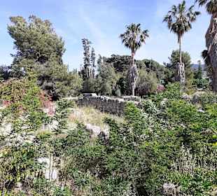 Ausgrabungsgelände Kos