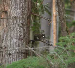 ...fast zu übersehen!
