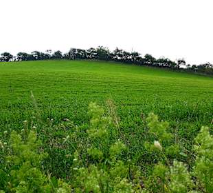 Wanderung Loddiner Höft